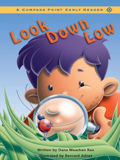 Title details for Look Down Low by Dana Meachen Rau - Available